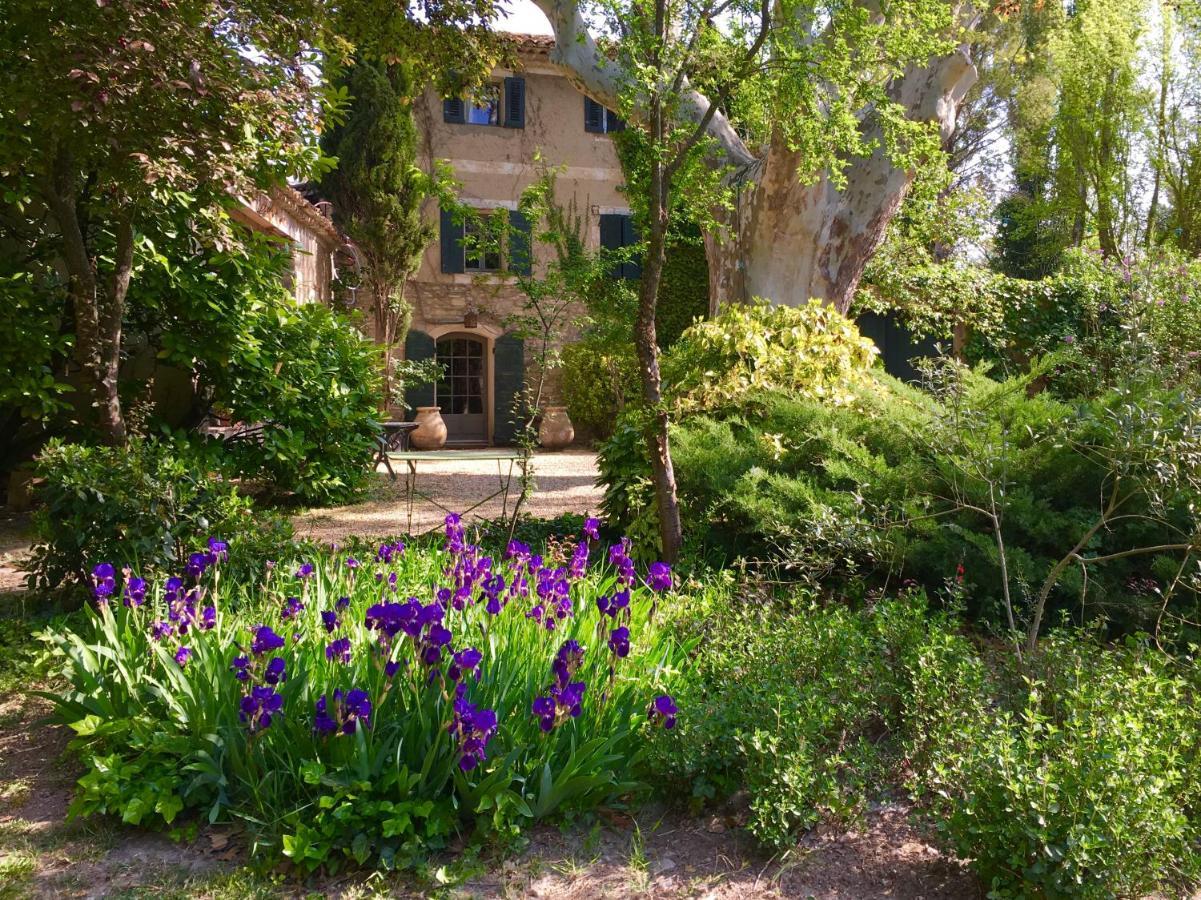 Campagne Baudeloup Bed and Breakfast LʼIsle-sur-la-Sorgue Εξωτερικό φωτογραφία