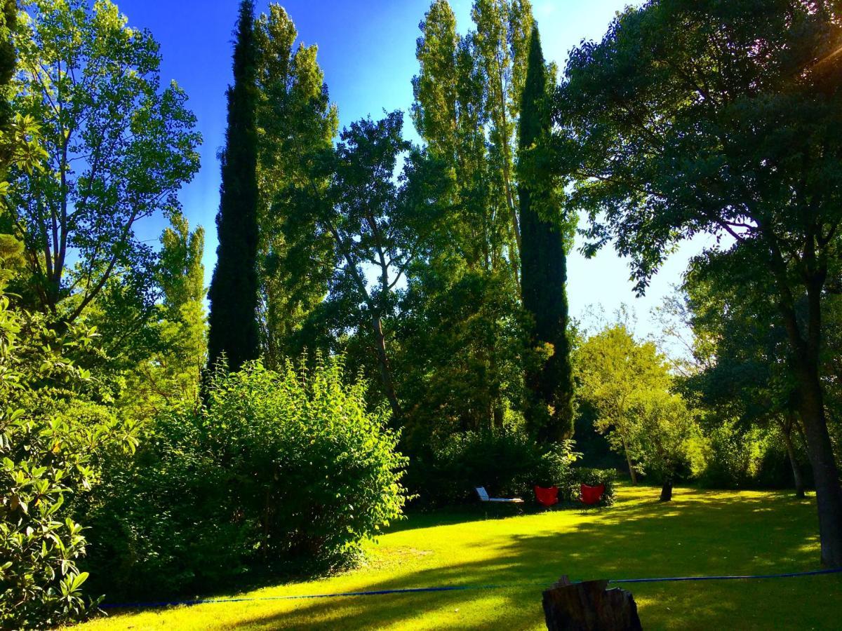 Campagne Baudeloup Bed and Breakfast LʼIsle-sur-la-Sorgue Εξωτερικό φωτογραφία