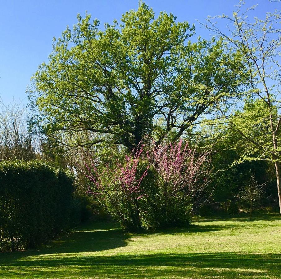 Maison D'Hotes Campagne-Baudeloup Bed and Breakfast LʼIsle-sur-la-Sorgue Εξωτερικό φωτογραφία